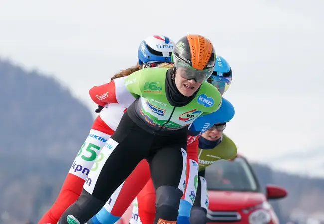 Anne Tauber