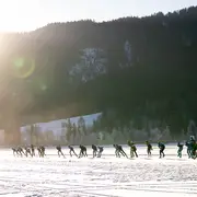 Mannenpeloton Weissensee 2026