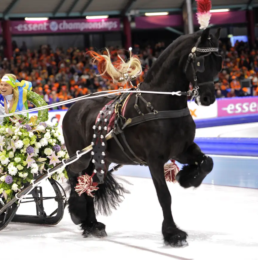 Koen Verweij WK 2014