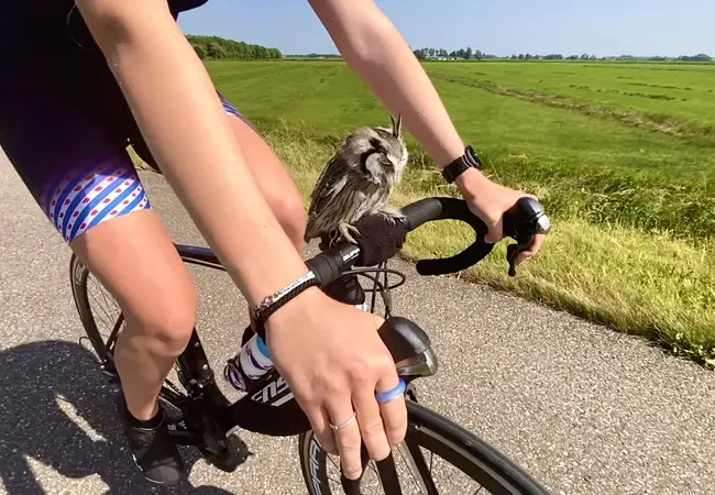 Antje Ypma en uil Twirre