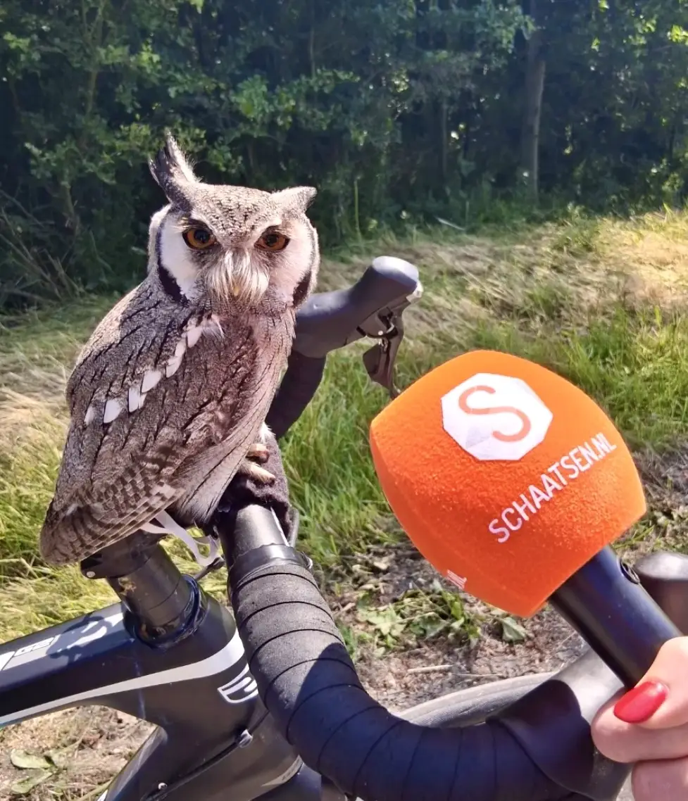 Antje Ypma en uil Twirre