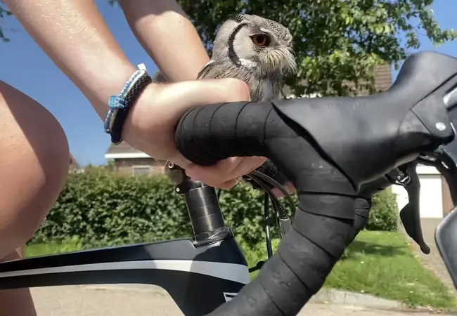 Antje Ypma en uil Twirre