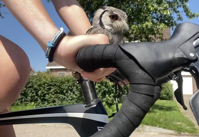 Antje Ypma en uil Twirre