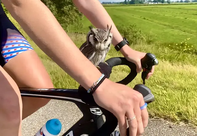 Antje Ypma en uil Twirre