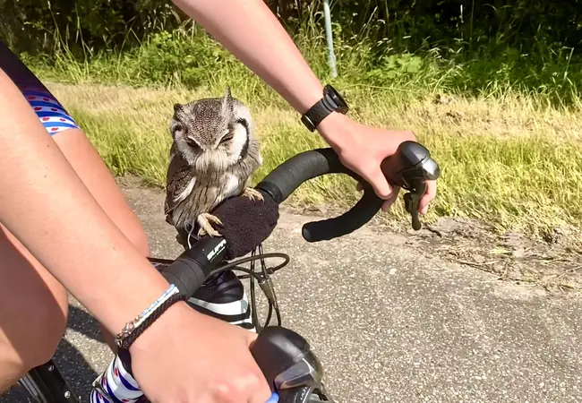 Antje Ypma en uil Twirre