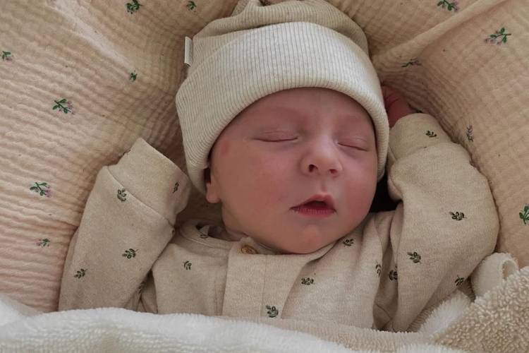 Baby Pip Wüst