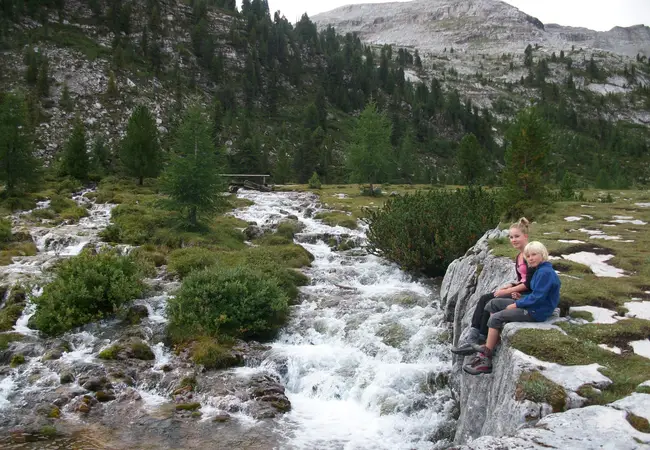 Bijna nieuwsgierig kijkend naar de fotograaf van dienst in de 'wildernis'.