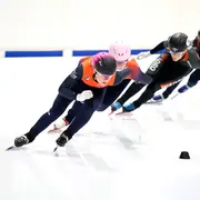 Birgit Radt