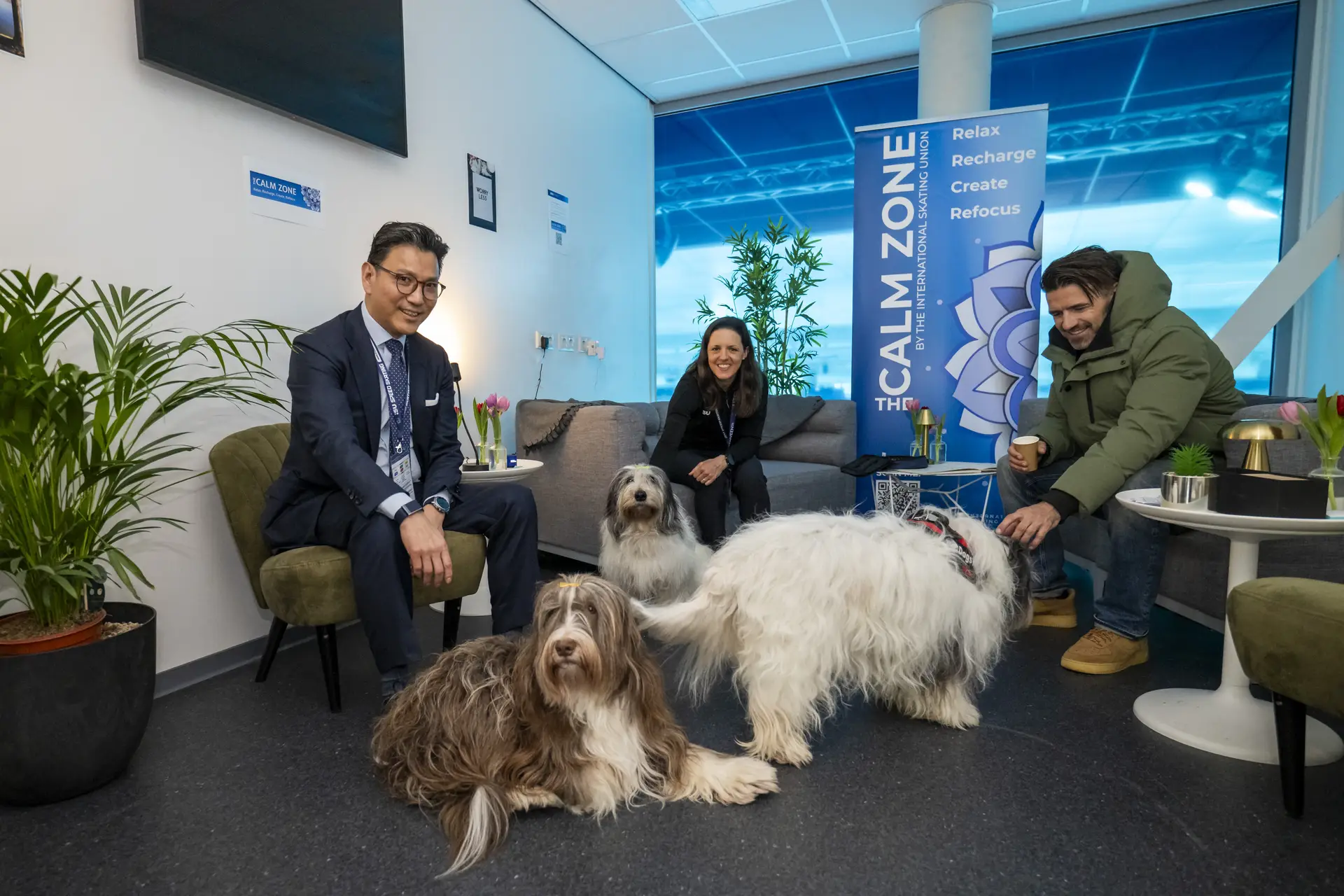 calm zone wk allround en sprint